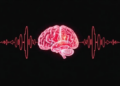 Simulated Annealing Searches Brain-Signal Ensembles, but a Noisy Signal Undercuts It