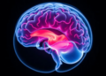 Inflammatory brain fluid may drive structural growth in preterm hydrocephalus