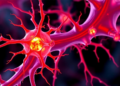 Enzyme Autotaxin Drives Scarring in the Optic Nerve's Load-Bearing Scaffold in Glaucoma