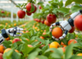 Enhanced AI Vision System Teaches Greenhouse Robots to Actually Pick the Fruit