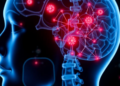 Nanoparticle Ferry Delivers Inflammation-Resolving Molecule to Spinal Cord to Rewire Pain at Its Source