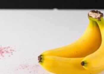 Microwave Extraction Unlocks Quercetin and Saponins from Discarded Banana Corms