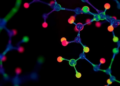 Anthracene Probes Turn Fluorescence Off to Single Out Salicylaldehyde