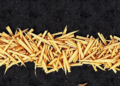 Burying Straw Twice a Year Supercharges Maize Yields in Problematic Black Soil
