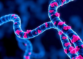 Lactate Marks on Histones Drive Wilms Tumor Growth Through a Self-Reinforcing Genetic Loop