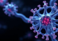 Enzyme's Changing Shape Steers Molecular Recognition, Simulations Show