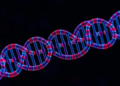 Circular RNA circLPAR3 blocks ferroptosis to fuel chemotherapy resistance in prostate cancer