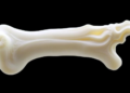 Lab-Grown Bone: 3D-Printed Collagen Scaffolds and Bioreactors Point to Off-the-Shelf Substitutes