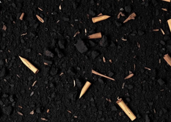 Biochar May Turn Fleeting Root Carbon into a Lasting Soil Sink, Review Finds