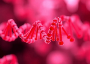 Circular RNA Culprit Behind Imatinib Failure in Leukemia Identified