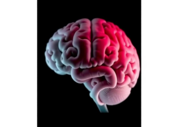 Rare Brain Tumor That Vanishes on Its Own Seen Before Birth in Striking Case Report
