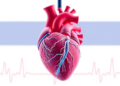 AI Learns the Heart's Anatomy to Measure Pumping Power Across Hospitals