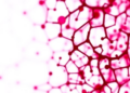Blood Test Could Replace Tumor Biopsies for Personalized Cancer Immunotherapy