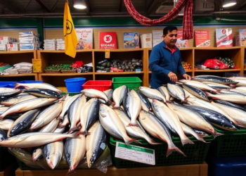 Delayed Icing and Auction Waits Drive Costly Fish Loss at Omani Retail Market