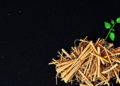Straw, Compost and Biochar Rebuild the Hidden Plumbing of China's Fading Black Soil
