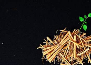 Straw, Compost and Biochar Rebuild the Hidden Plumbing of China's Fading Black Soil