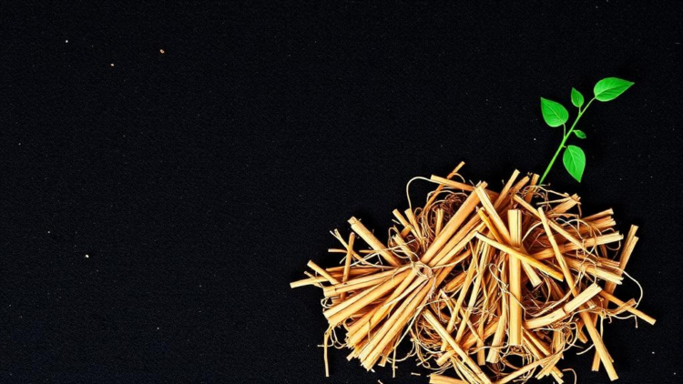 Straw, Compost and Biochar Rebuild the Hidden Plumbing of China's Fading Black Soil