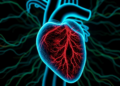 AI Reads Heart Muscle Layers to Tell Myocarditis Apart from Heart Attacks