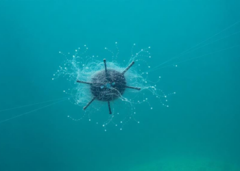 Fuzzy Trust System Brings Smarter, Faster Security to Underwater Sensor Networks