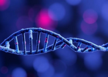 RNA Sensor MDA5 Emerges as a Surprising Ally of Tumors Against Immune Attack