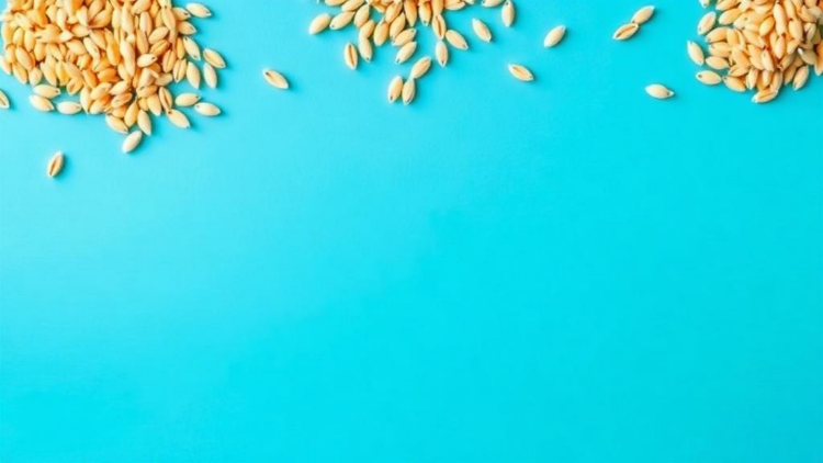 From Oil Mill Waste to Superfood: The Hidden Protein Goldmine in Seed Byproducts