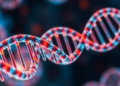 Hidden RNA switches that control the cellular recycling behind bone loss