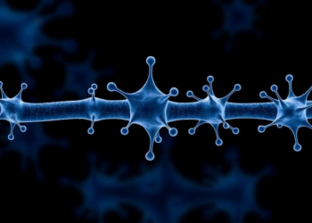 Evolution of Estrogen Receptors Explains Why Species Respond Differently to Chemicals