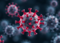Computational Vaccine Design Targets Lumpy Skin Disease Virus