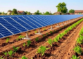 AI-Powered Solar Irrigation Framework Cuts Water Use by Nearly 29 Percent in Simulation