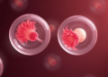 Skipping a Key Hormone Blocker During IVF Stimulation Yields Just as Many Usable Embryos, Trial Finds