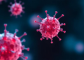 Scientists Identify HERC4 as the Molecular Switch That Turns TNF Survival Signals Into Cell Death