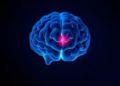 Silent Speech Runs the Brain's Arousal System on Low Power, Pupil Study Reveals