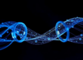 Intrinsic Decoherence Reshapes Quantum Correlations in Hybrid Qubit-Qutrit Spin Chains
