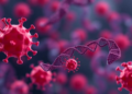 Genomic ancestry and HBV genotype shape relapse risk after stopping hepatitis B treatment