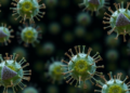 Failing Cellular Recycling Lets Zombie Cells Pile Up as We Age, Study Finds