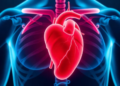 Shared Genes, Opposing Effects: Hidden Genetic Link Between Heart Failure and Osteoporosis Revealed