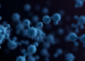 A Single Workout Reshapes Over 3,000 Proteins Across the Body, New Atlas Reveals