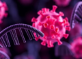 Cancer's Rogue DNA Can Backfire, Trapping Oncogenes in Micronuclei and Slowing Tumors