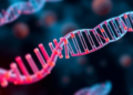 RNA edit swaps out OCT4 to make better stem cells