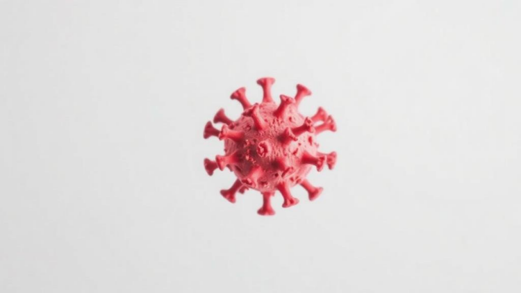 One in Five Mpox Patients May Also Carry Varicella Zoster Virus, Review Finds