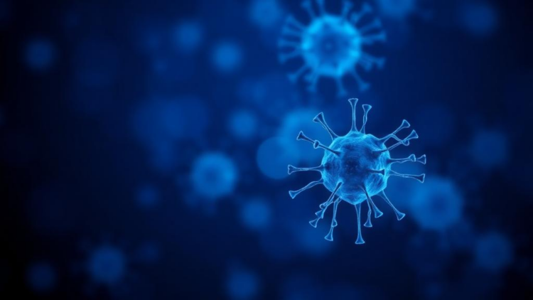 Gene Silencing by Methylation May Explain Why Breast Cancer Cells Dodge TRAIL Therapy