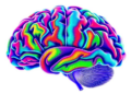 Massive Brain Study Maps How Substance Use Reshapes the Mind Across a Lifetime