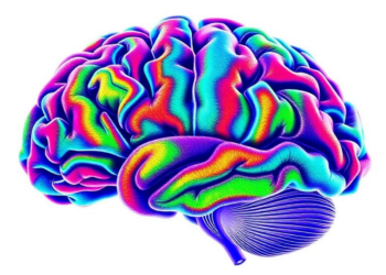 Massive Brain Study Maps How Substance Use Reshapes the Mind Across a Lifetime