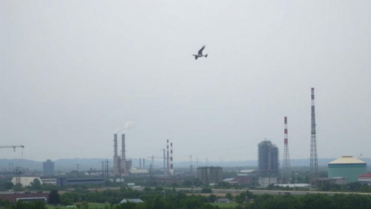 Industrial Air Pollution in Louisiana's Chemical Corridor Linked to Higher Odds of Severe Infant Heart Defects