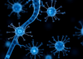Master Switch Discovered That Decides How Adult Spinal Cord Stem Cells Choose Their Fate