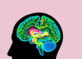 LSD Caught in Action: PET-MRI Reveals How the Psychedelic Grips the Human Brain