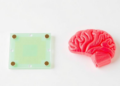 Paper-Based Sensor Detects Alzheimer's and Parkinson's Biomarkers in One Test
