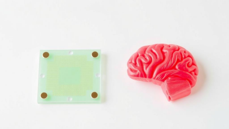 Paper-Based Sensor Detects Alzheimer's and Parkinson's Biomarkers in One Test