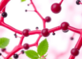 How Plant Polyphenols May Slow the Arterial Damage Behind Heart Attacks and Stroke