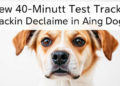 New 40-Minute Test Tracks Cognitive Decline in Aging Dogs